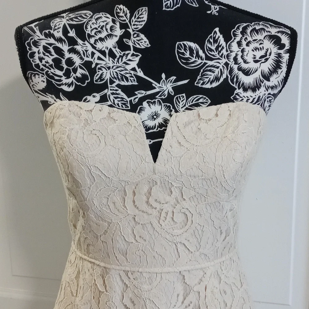🆕️ 🍾J. Crew🍾 - Champagne "Leavers Lace" Strapless Cathleen Sheath Dress - Picture 3 of 12